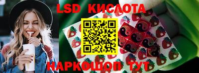крисы Кандалакша