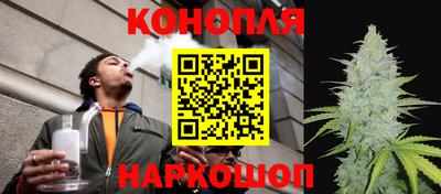 крисы Кандалакша