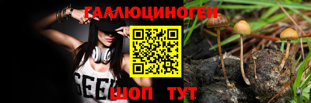 Псилоцибиновые грибы Magic Shrooms Барабинск